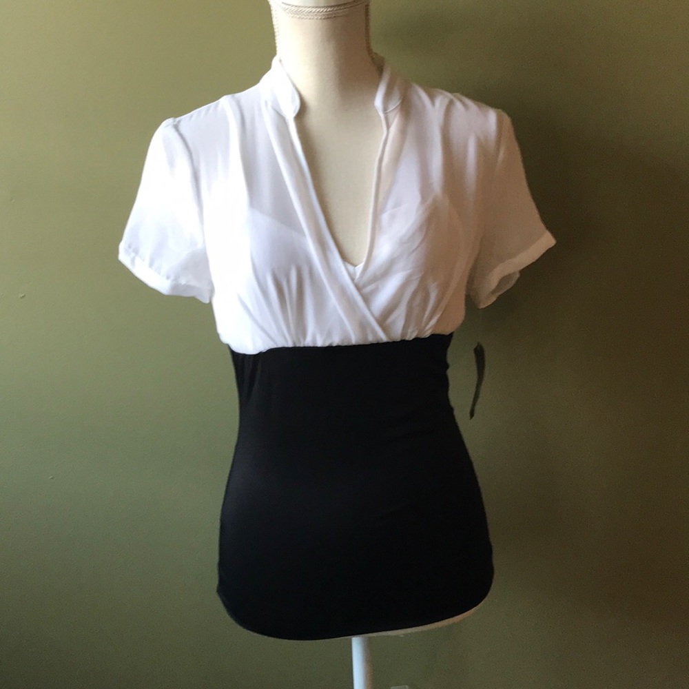 Sheer top with attached cami